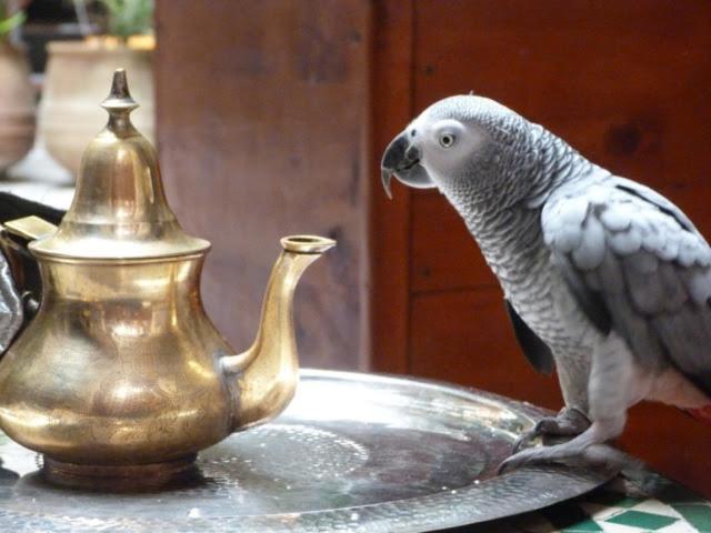 ホテル リヤド アル バータル フェズ エクステリア 写真